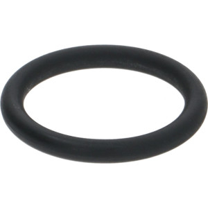 GASKET ORM 0140-20 FKM