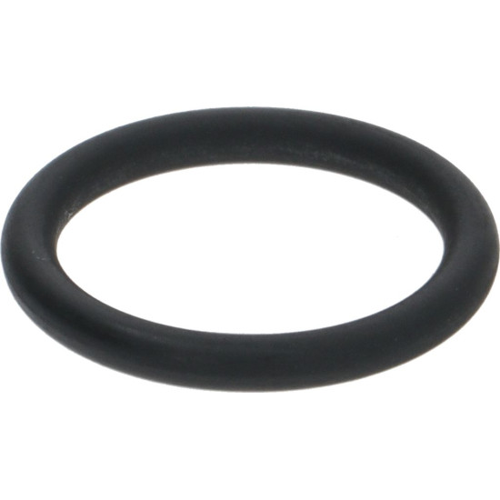 GASKET ORM 0140-20 FKM