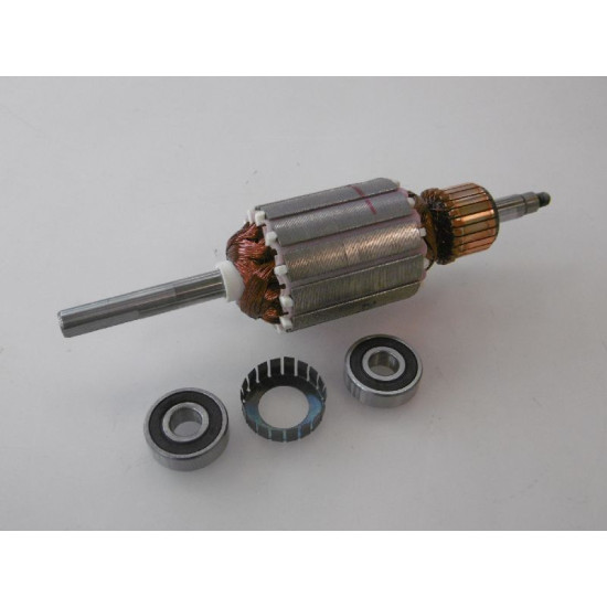 MOTOR INDUCT