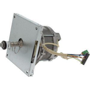 MOTOR HANNING L9FW4D-605