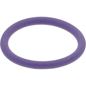 GASKET OR 02062 EPDM-FDA PURPLE GASKET OR 02062 EPDM-FDA PURPLE