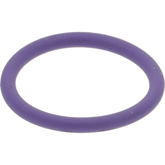 GASKET OR 02062 EPDM-FDA PURPLE GASKET OR 02062 EPDM-FDA PURPLE