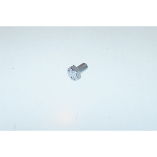 HEXAGONAL HEAD SCREW M6x10 HEXAGONAL HEAD SCREW M6x10