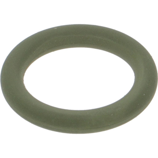 GASKET ORM 0113-24 FKM GREEN GASKET ORM 0113-24 FKM GREEN