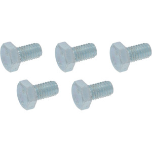HEXAGONAL HEAD SCREW ST. STEEL  M6x10
