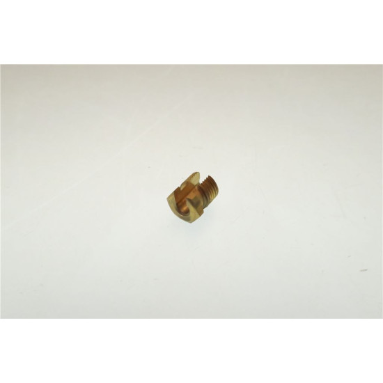 Retaining screw M10 x 1