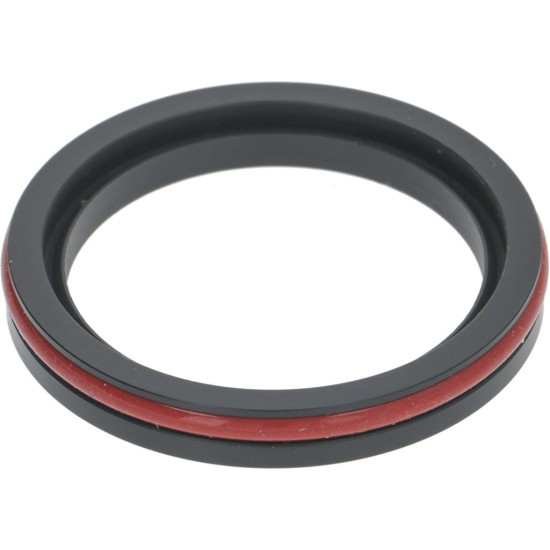 SEALING GASKET FOR SHOWER HOLDER