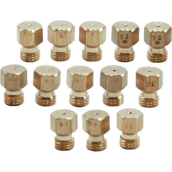LPG INJECTORS ELECTROLUX 50253836006