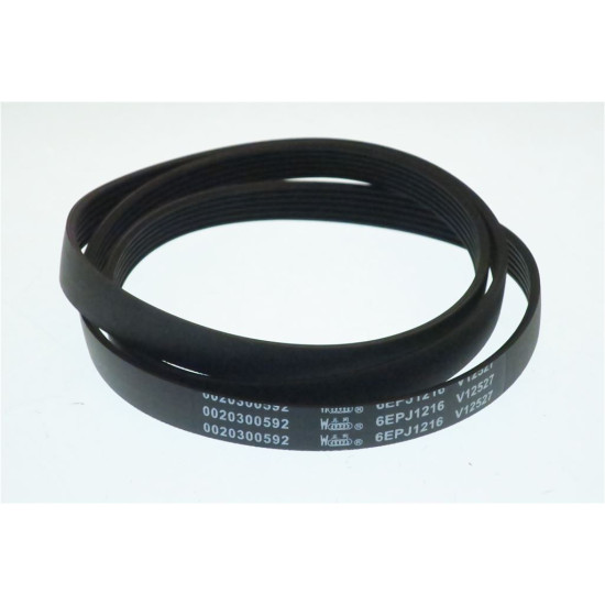 BELT HAIER 0020300592