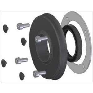 FASTENER W/SCREWS PG