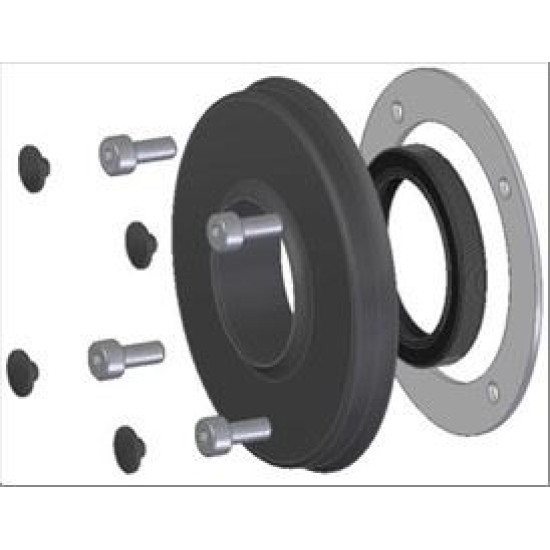 FASTENER W/SCREWS PG