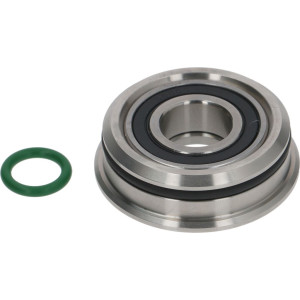 BEARING S6003 RS