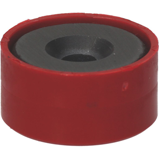 MAGNET