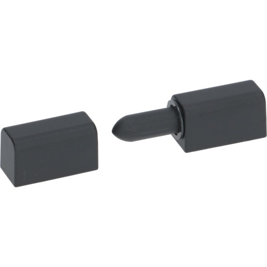 DOOR HINGE