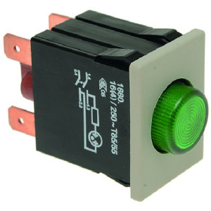 SWITCH 2 POLE GREEN 16A 250V
