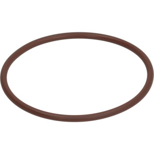 O-RING 0176 FKM