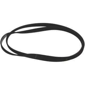 BELT POLY V 1239J5