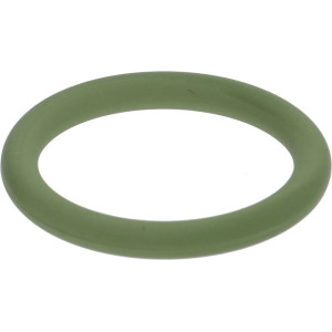 GASKET ORM 0200-30 FKM