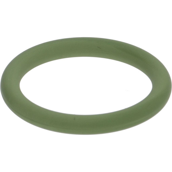 GASKET ORM 0200-30 FKM