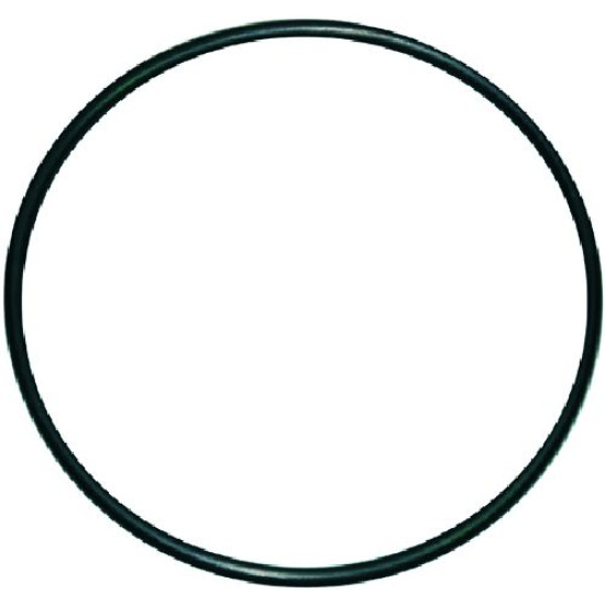 ORM-GASKET ϕ 50x2 mm