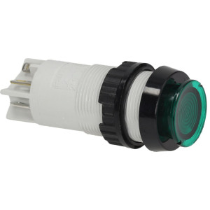 GREEN BIPOLAR PUSH-BUTTON 2A 250V
