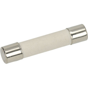 FUSE MICROWAVE FAGOR AS0000543