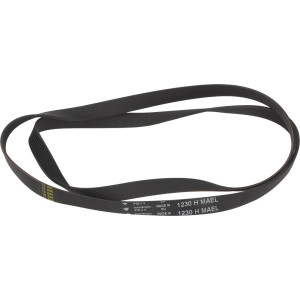 BELT HUTCHINSON 1230 H8 EL